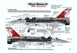 MV480042 F-16D Block 52 Fighting Falcon Black Widows