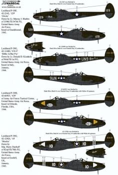 XD48215 P-38F/G/H Lightning Part 2