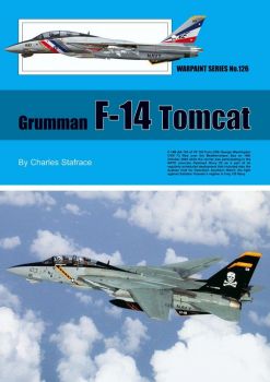 WT126 Grumman F-14 Tomcat