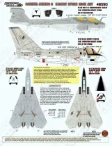 FTD48090 Carrier Air Wing 8 Operation Desert Storm Nose Art