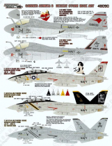 FTD48090 Carrier Air Wing 8 Operation Desert Storm Nose Art