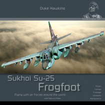 DH-017 Sukhoi Su-25 Frogfoot