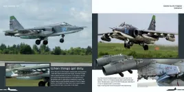 DH-017 Suchoi Su-25 Frogfoot