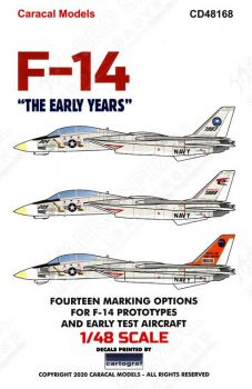 CD48168 F-14A Tomcat - The Early Years
