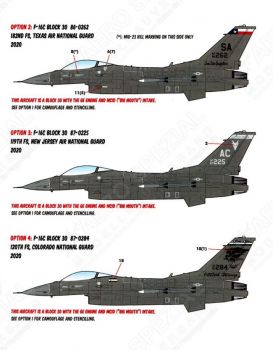 CD48194 F-16C Fighting Falcon Have-Glass-5-Tarnung
