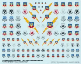 CDB48007 TAC and ACC Badges