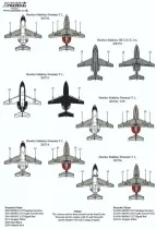 XD72329 Dominie T.1 & HS.125 Royal Air Force