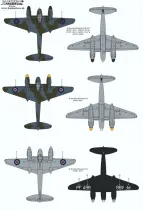 XD72334 Mosquito B.XVI