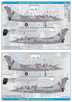 SY72918 Rafale Export Versions (Egypt, India, Qatar)