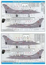 SY72918 Rafale Export Versions (Egypt, India, Qatar)