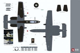 TB48276 A-10C Thunderbolt II 163rd FS Blacksnakes