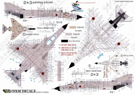 DXM48049 F-4EJ & F-4EJ Kai Phantom II ADTW Last Flight