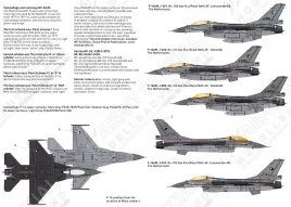 DD48082 NF-5A/B & F-16AM/BM Royal Netherlands Air Force