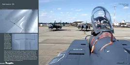 DH-026 Boeing F-15E Strike Eagle