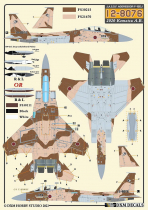 DXM48060 F-15J/DJ Eagle JASDF Aggressors Teil 1