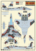 DXM48060 F-15J/DJ Eagle JASDF Aggressors Teil 1