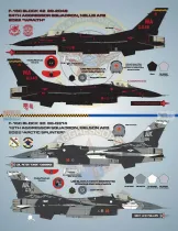 BMA48025 F-16 Fighting Falcon: Aggressor Vipers Teil 2