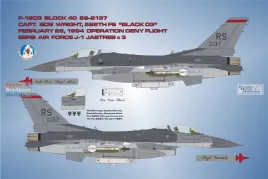 BMA48028 F-16 Fighting Falcon: Killer Vipers