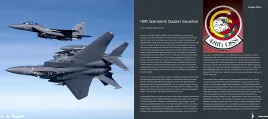 DH-HC001 Eagles Rock: 48th Fighter Wing - Where Combat Air Power Lives