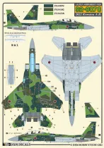 DXM48061 F-15J/DJ Eagle JASDF Aggressors Teil 2