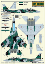 DXM48061 F-15J/DJ Eagle JASDF Aggressors Teil 2