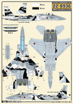 DXM48061 F-15J/DJ Eagle JASDF Aggressors Teil 2