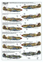 XD72139 P-40 Tomahawk