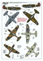 XD72139 P-40 Tomahawk