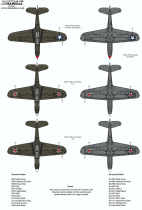 XD72346 P-39D Airacobra im weltweiten Einsatz