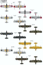 XD72348 Auster im weltweiten Einsatz