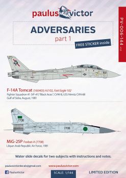 PV44006 F-14A Tomcat & MiG-25P Foxbat-A Adversaries Part 1