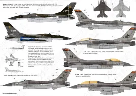 DD48085 F-16, F-35, MQ-9 Royal Netherlands Air Force