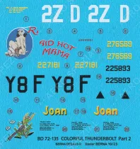 BD72135 P-47D Thunderbolt Raid Hot Mama & Joan
