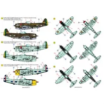 ACD48031 P-/F-47 Thunderbolt im weltweiten Einsatz