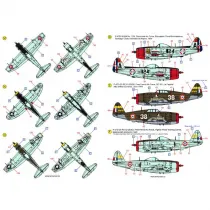 ACD48031 P-/F-47 Thunderbolt im weltweiten Einsatz