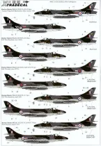 XD48034 Hunter FGA.9 & FR.10