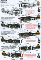 XD48116 P-47D Thunderbolt