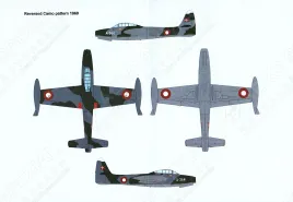 LN32-D14 F-84E Thunderjet Royal Danish Air Force Early/Late Period
