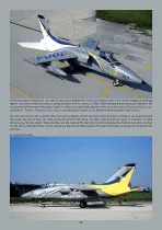 EF004 Aeritalia - Aermacchi - Embraer AMX