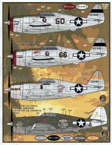 FD&S4831 P-47 Thunderbolt Teil 3