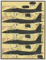FBD48093 F-15E Strike Eagle Drohnen-Killer 48th FW