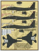 FBD48093 F-15E Strike Eagle Drohnen-Killer 48th FW