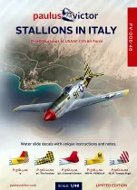 PV48006 P-51D Mustang 15th Air Force in Italien