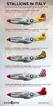 PV72006 P-51D Mustang 15th Air Force in Italy