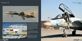 DH-037 Grumman F-14 Tomcat