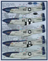 FBD48094 P-51 Mustang Meyer’s Maulers 487th FS Part 1