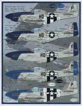 FBD48094 P-51 Mustang Meyer’s Maulers 487th FS Part 1