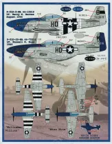 FBD48095 P-51 Mustang Meyer’s Maulers 487th FS Part 2