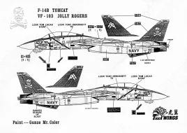 TW48110 F-14B Tomcat VF-103 Jolly Rogers