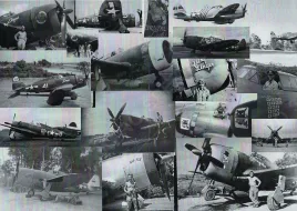 DPC48009 P-47D Razorback